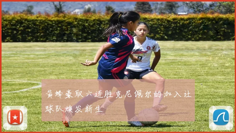 黄蜂豪取六连胜克尼佩尔的加入让球队焕发新生