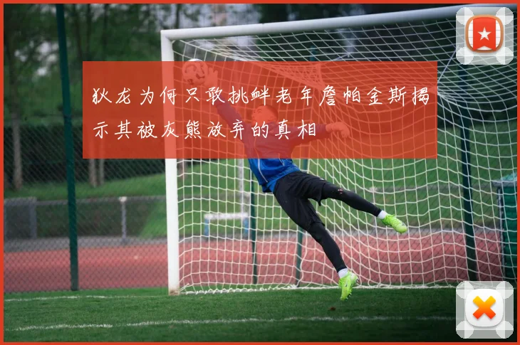 狄龙为何只敢挑衅老年詹帕金斯揭示其被灰熊放弃的真相
