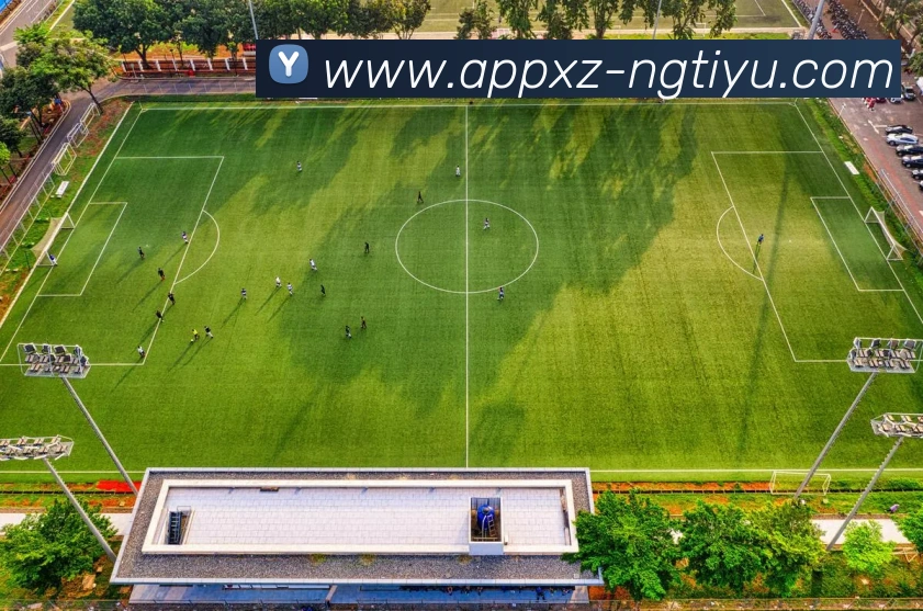 南宫体育平台生态图