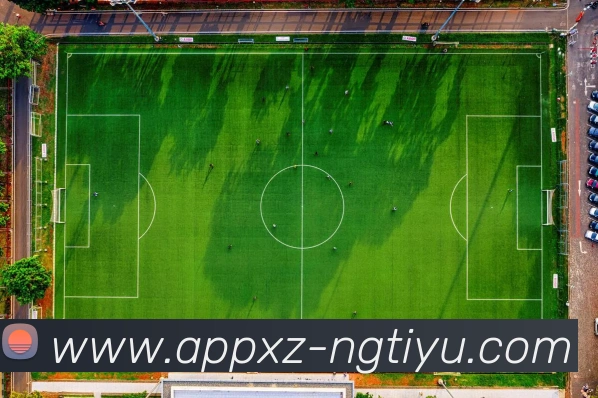 南宫体育APP 封面图